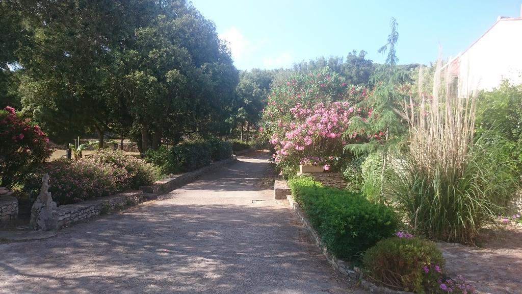 Domaine De Foresta Bonifacio  Exteriör bild