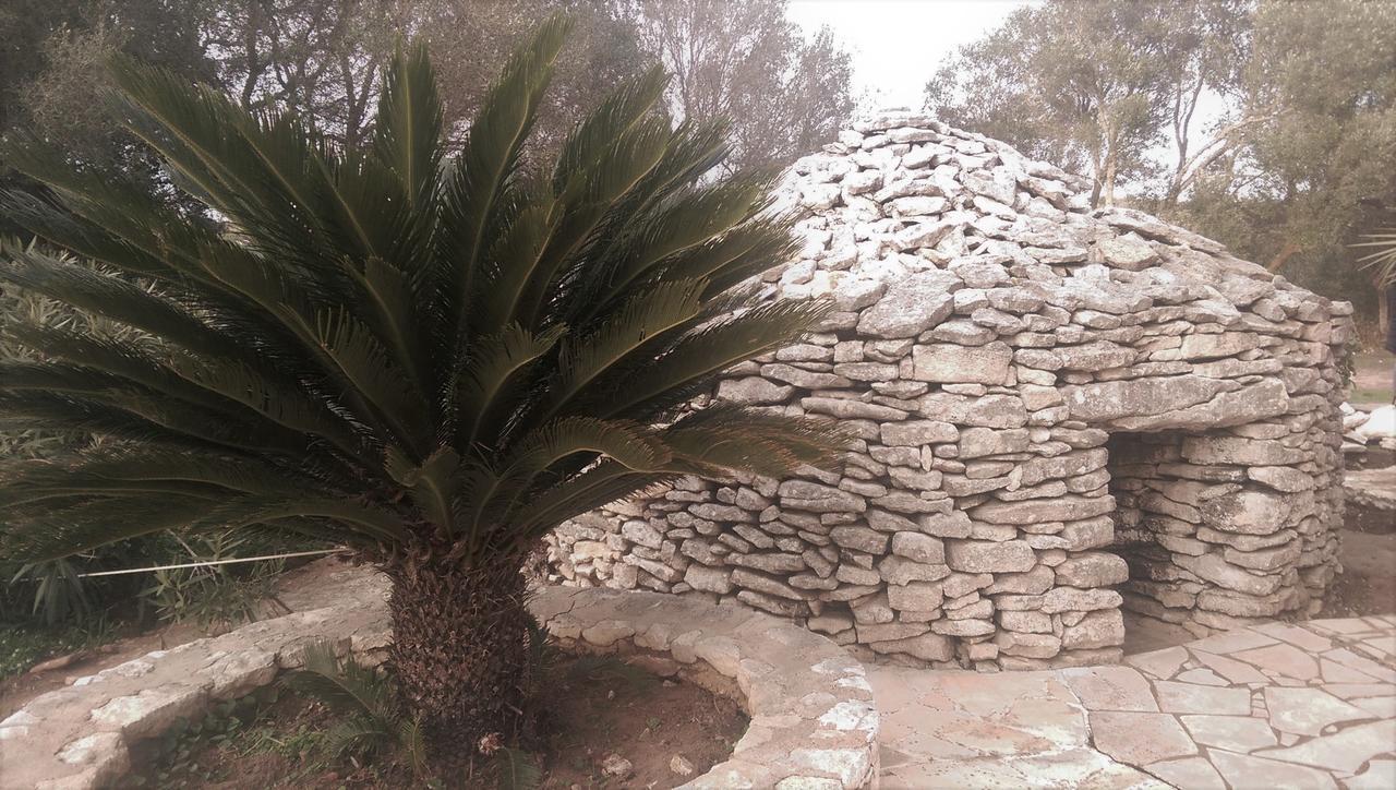 Domaine De Foresta Bonifacio  Exteriör bild